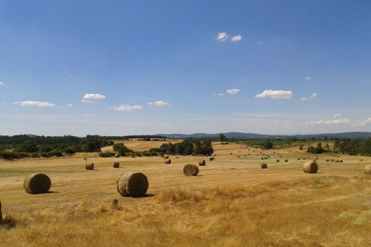 Campo agrícola Trás-os-Montes