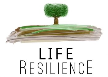Life Resilience