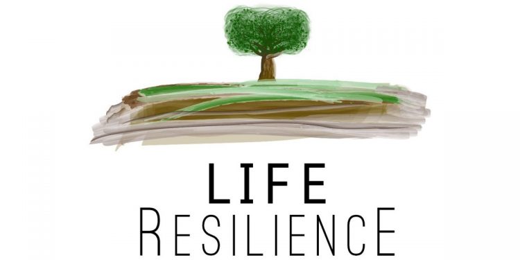 Life Resilience