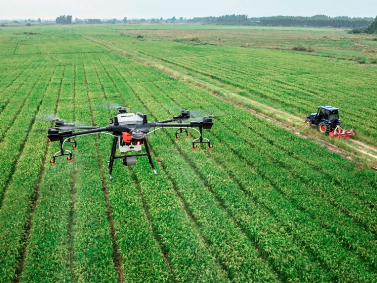 agricultura precisão