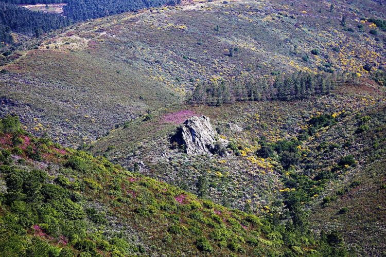 serra da malcata