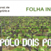 iniav folha informativa