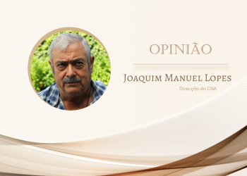 joaquim manuel lopes