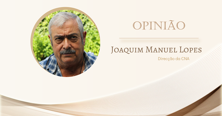 joaquim manuel lopes