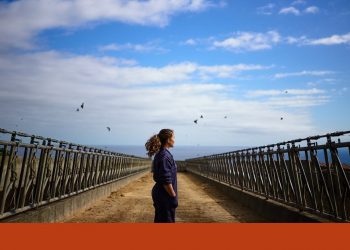 mulheres terceira público