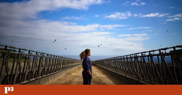 mulheres terceira público