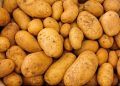 batatas
