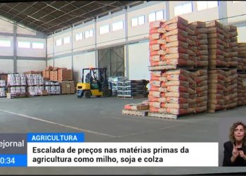 soja milho aumento rtp