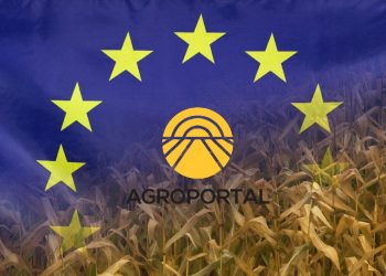 agroportal 1200x700