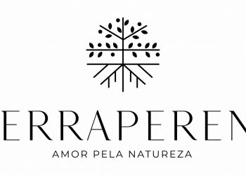 logo terraperene