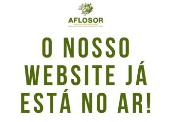website aflosor