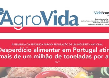 agrovida setembro