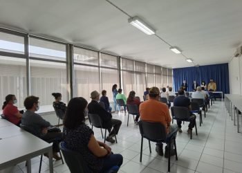 arcoz valdevez gado