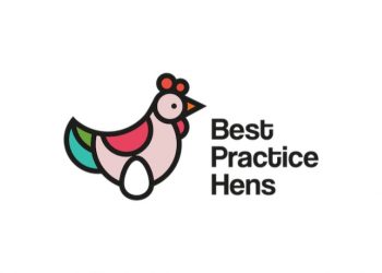 best practice hens