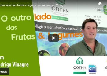 rodrigo vinagre