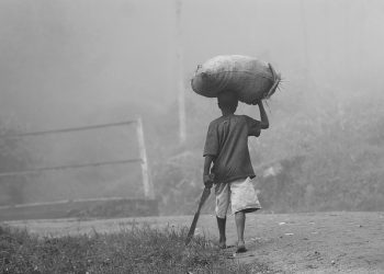 african farmer boy