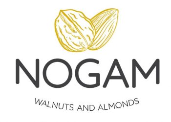 nogam 1200 628