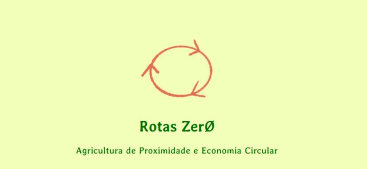 rotas zer0