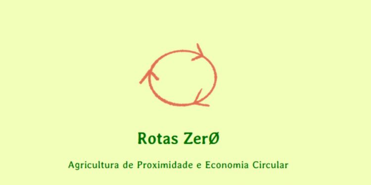 rotas zer0