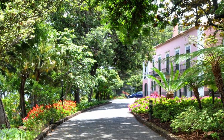 madeira