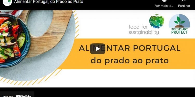 webinar alimentar