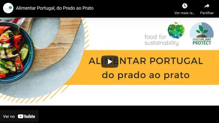 webinar alimentar