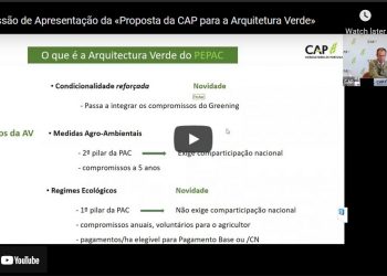 arquitetura verde