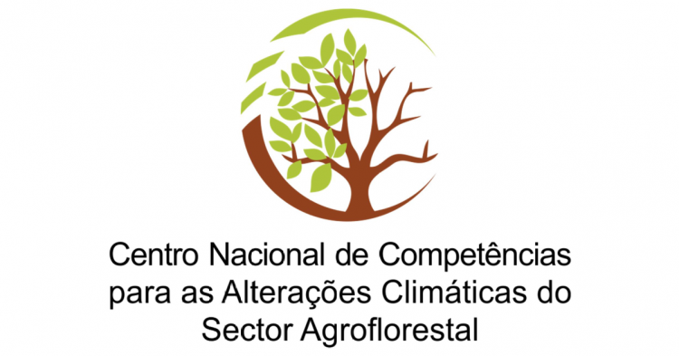 centro alteracoes climaticas