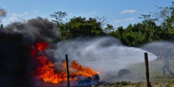 fogo agricultura