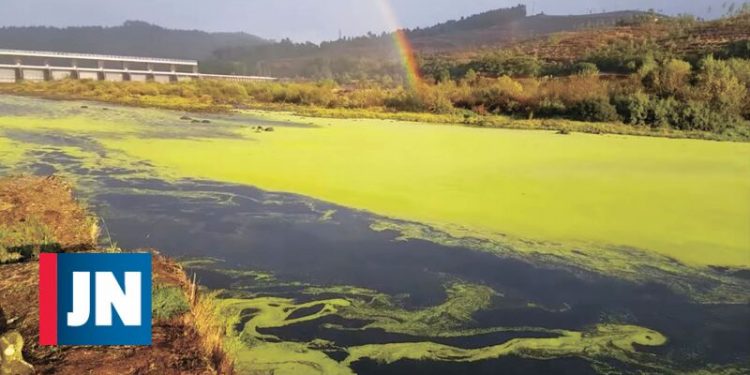 rio tejo