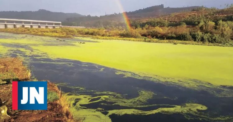 rio tejo