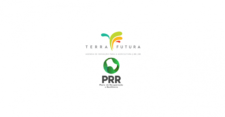 terra futura prr