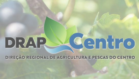 DRAP Centro: Sobre a Região Centro