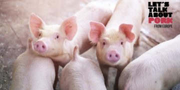 Let's Talk About Pork