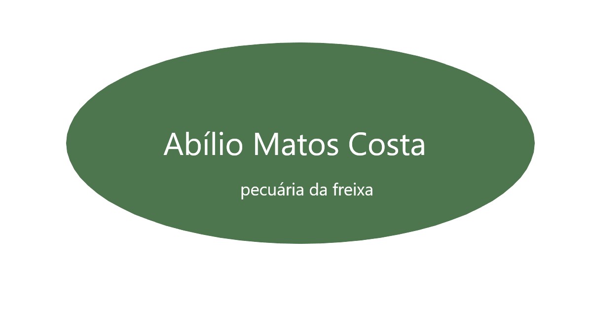 Abílio Matos Costa
