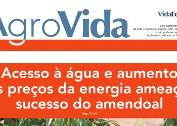 agrovida novembro