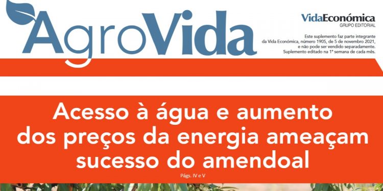 agrovida novembro