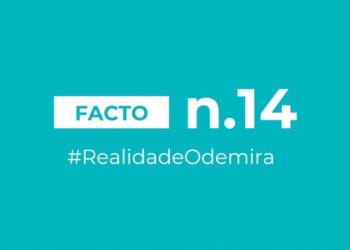 facto 14