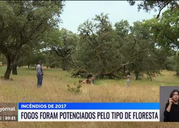 floresta rtp