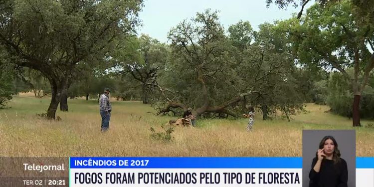 floresta rtp