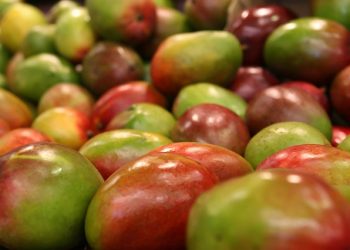mango