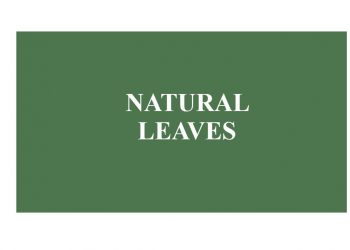 natural leaves