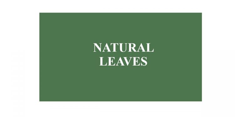 natural leaves