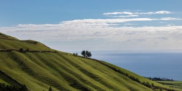 açores