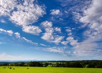 paisagem