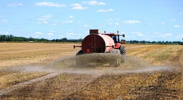 rtp agricultura bragança