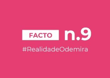 facto 9