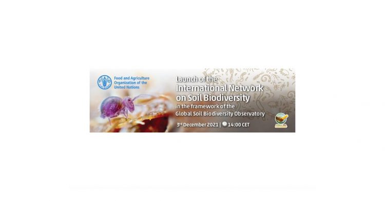 soil biodiversity