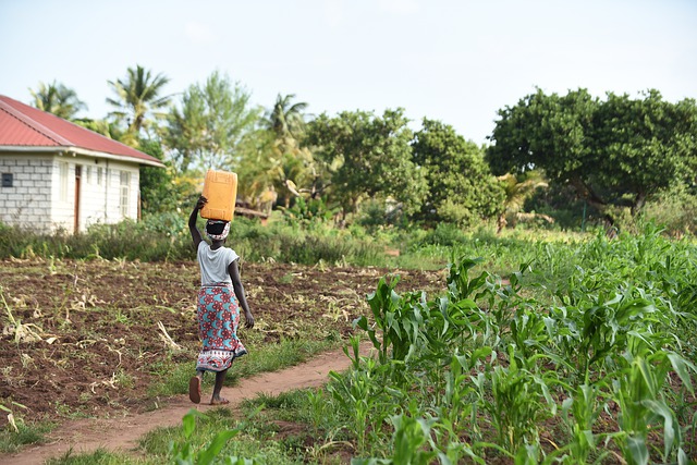 exploração agricola africa