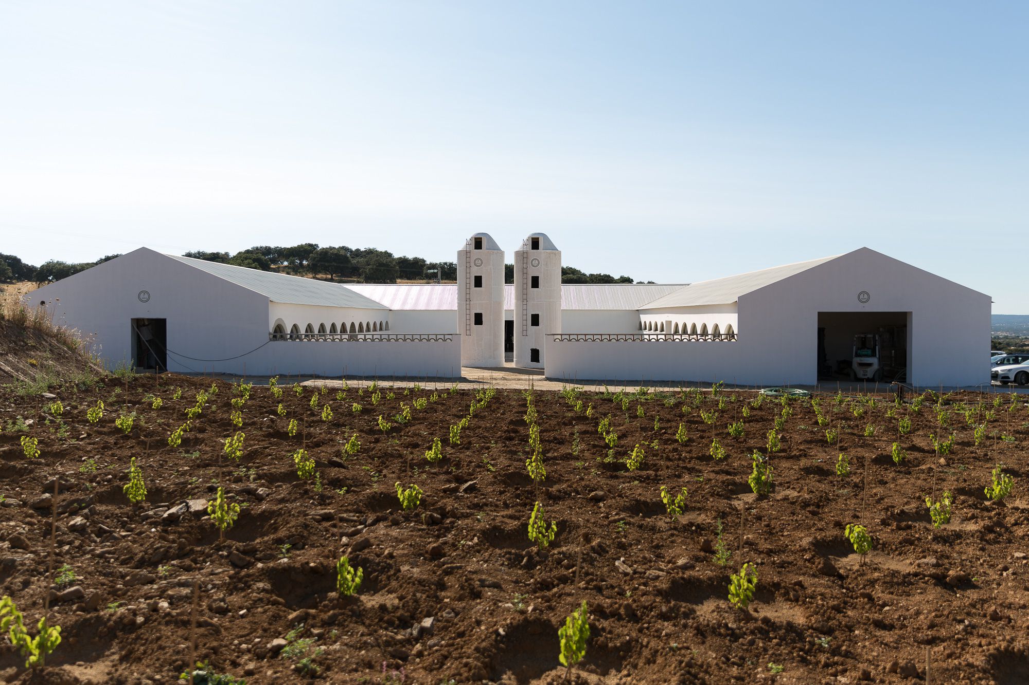 No Alentejo, nasceu uma vinha plantada em patamares tal como no Douro